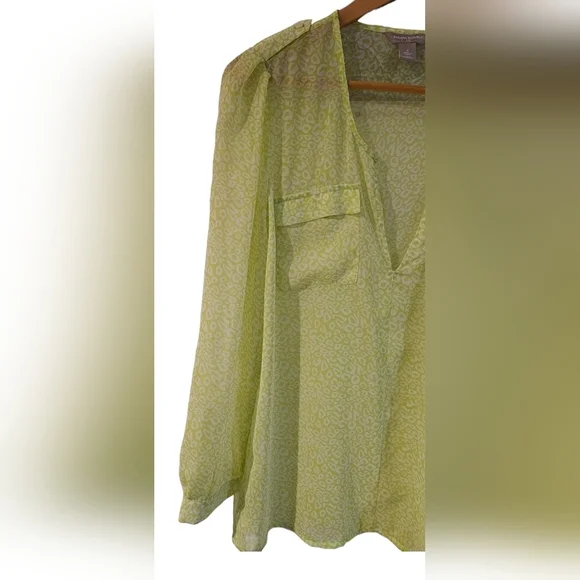 Banana Republic - Animal Print Sheer Deep V-Neck Ruffled Sleeves Long Sleeve Top - Picture 3 of 8